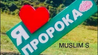 Важно! Люблю Пророка (Мухаммад Саллялаху Алайхи Ва Салям) Мир 🌍 Ему !