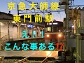 えっっ‼️‼️こんなことある⁉️⁉️電車に牛⁉️⁉️⁉️もぉぉぉー