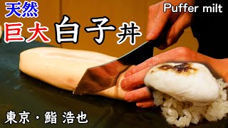 850g超巨大天然白子…鱒子のソースと黒胡椒で食べる新進気鋭の寿司【東京/鮨 浩也】