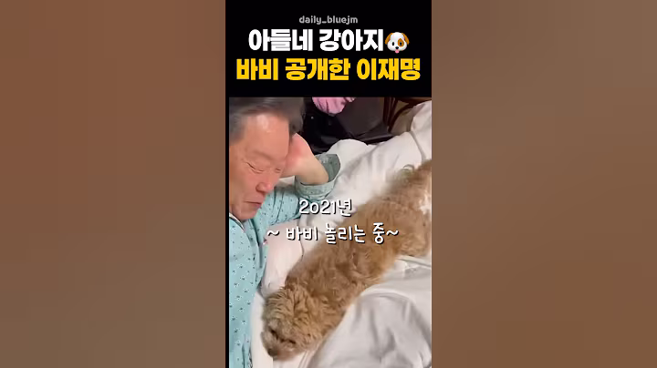 얼마 전 결혼한 아들네 강아지 바비 공개한 이재명, 코 물려도 좋아 🐶