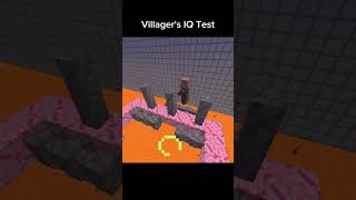 Villagers Iq Test