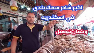 اسكندرية اليوم اشهر سوق سمك وجمبري بلدى سوق الميدان
