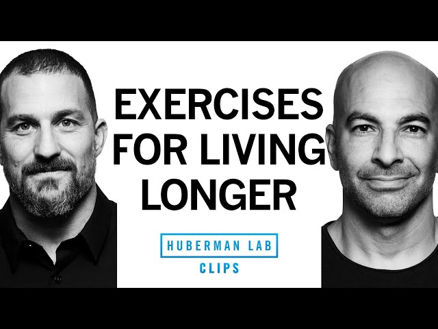 Best Exercises for Overall Health & Longevity | Dr. Peter Attia & Dr. Andrew Huberman class=