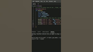 print size character,integer,double,float data type | monu vapi  #shortvideo #reels #clanguage