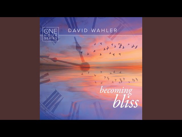 David Wahler - Shanti Fields