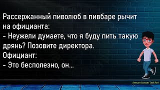 💎В Кафе Клиент Читает Меню...Сборник Новых,Смешных До Слёз Анекдотов,Для Супер Настроения!