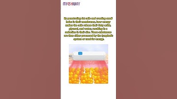 Discover how laser lipo shrinks fat cells, leading to natural weight loss. #mychway #laserlipo
