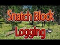 How to use a snatch block for pulling big logs