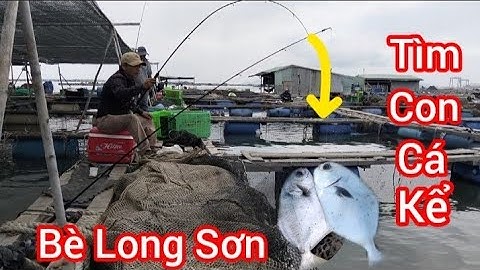 Hành trình đi tìm con cá Kể/ Long Sơn Vũng Tàu/ Với cần thủ Nữ @Dammecauca1