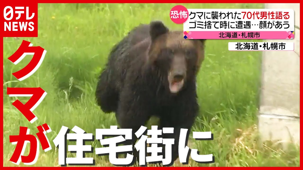 4人が襲われケガ…体重158キロのクマが住宅街に 北海道・札幌（2021
