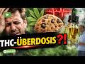 Was Passiert Wenn Cannabis Zu Stark Wirkt Was Passiert Wenn Cannabis Zu Stark Wirkt