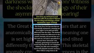 How Owls Map Sound in 3D Darkness! #OwlHearing #AcousticLocalization