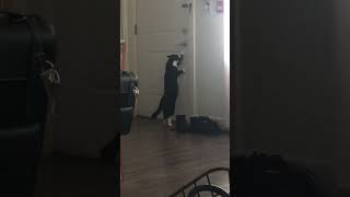 I Think She Might Want To Go Outside