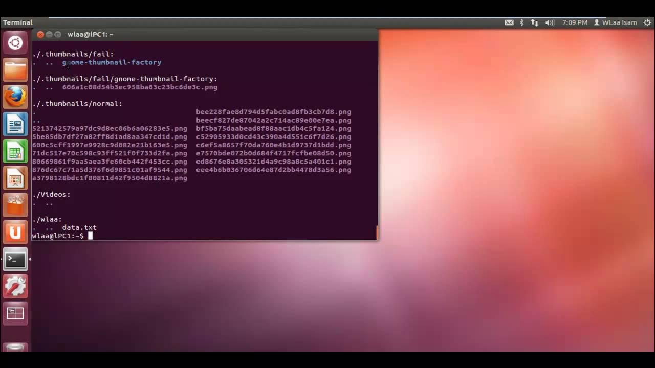 09-Working With Files and Directories CompTIA Linux+ and UCP - YouTube