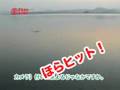 シーバス釣りTDソルトペンシル