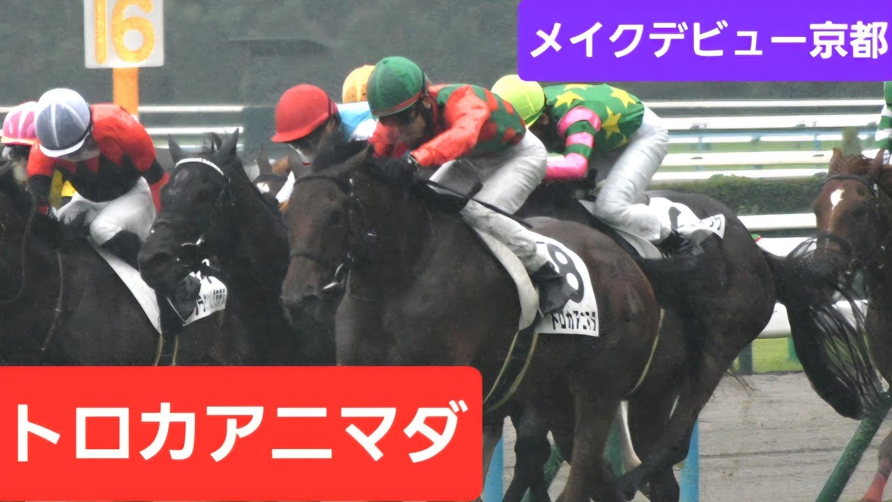 現地映像】2026年メイクデビュー京都（2歳新馬）優勝馬トロカアニマダ