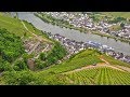 German riesling wine journey