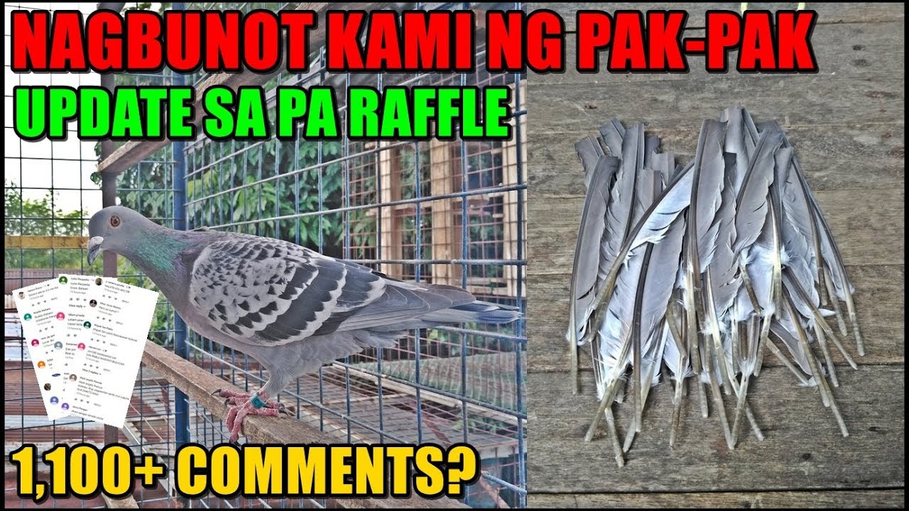 NAGBUNOT KAMI NG PAKPAK NORTH 19 UPDATE SA PA RAFFLE NATIN