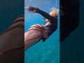 she swims around with an octopus attached to her leg. the octopus loves riding on her like a