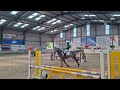Ardnehue pumpkins,  showjumping at wexford equestrian