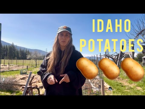 Planting Potatoes in North Idaho