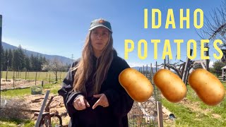 Planting Potatoes in North Idaho 