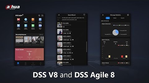 DSS Agile 8