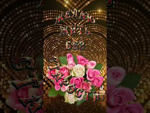 #длятебя #love #доброеутро #доброгодня #сдобрымутром #розы #дуэт #комплименты #поздравление