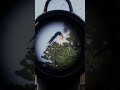 Nice anti air shot #ArmA #Game | #patapignouf sur #Twitch