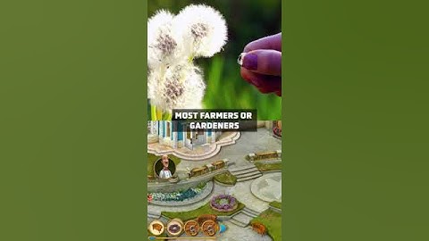 This Is What Weeds Are Telling You About Your Soil #shorts