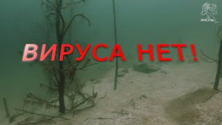 Дибровский карьер Там, где не живет коронавирус COVID 19 с. Белокоровичи