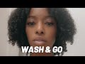 WASH AND GO Product Application | NATURAL HAIR | 3C 4A Hair - Part 2
