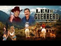 Ley de guerrero  la pelicula  accion y narcos en espaol  aguila blanca tv