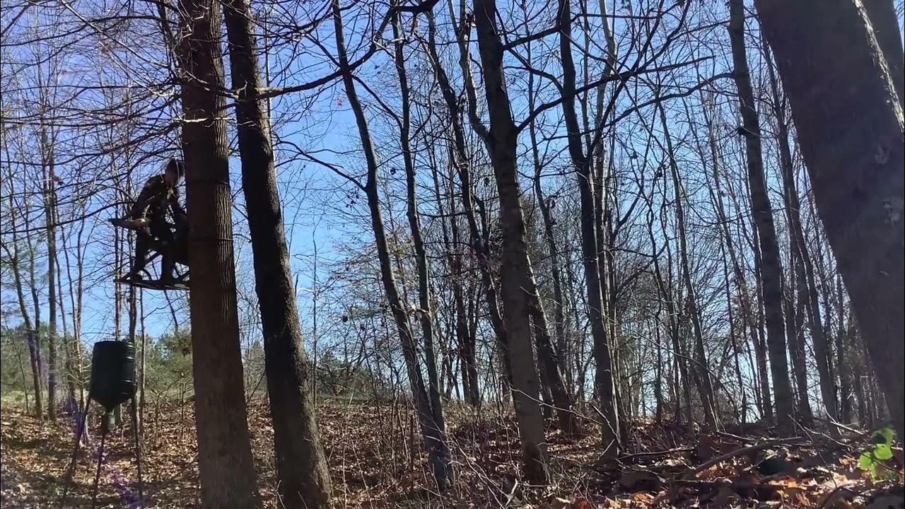 How to use a tree, climbing stand YouTube
