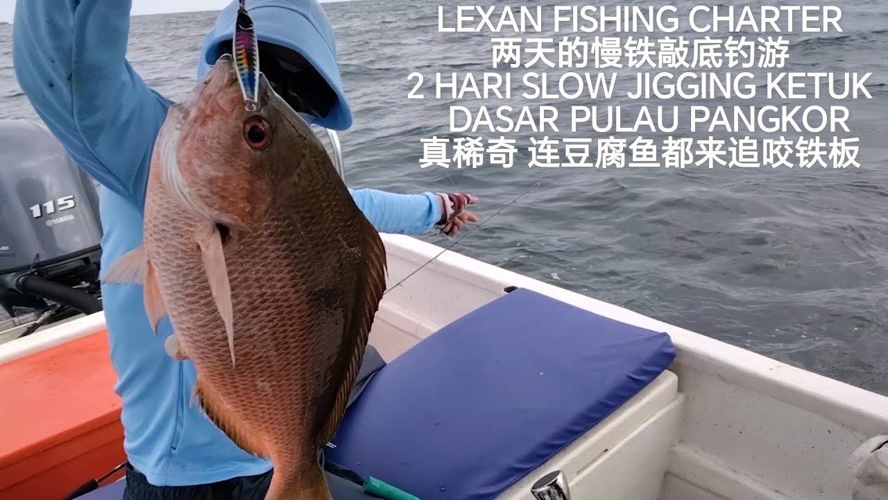 真稀奇 连豆腐鱼都来追咬铁板 SLOW JIGGING KETUK DASAR PULAU PANGKOR #钓鱼 #铁板钓 #慢铁敲底