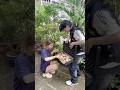 Bị em gái hàng xóm lấy trộm bánh kẹo và cái kết #challenge #shorts #shortvideo #short #subscribe