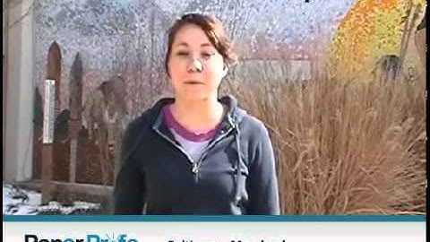 Outstanding custom assignment writing service