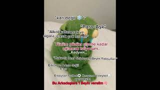 Yüzüm Gözüm Şi̇şene Kadar Ağlamak İsti̇yorum..