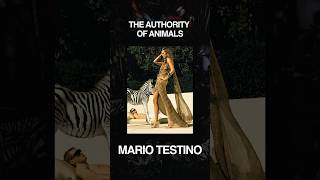 The Authority of Animals: Mario Testino, A Beautiful World and the Evolution of the Gaze