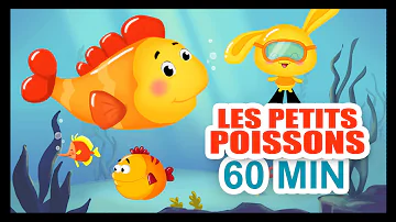 Quel poisson de rivière Peut-on manger ?