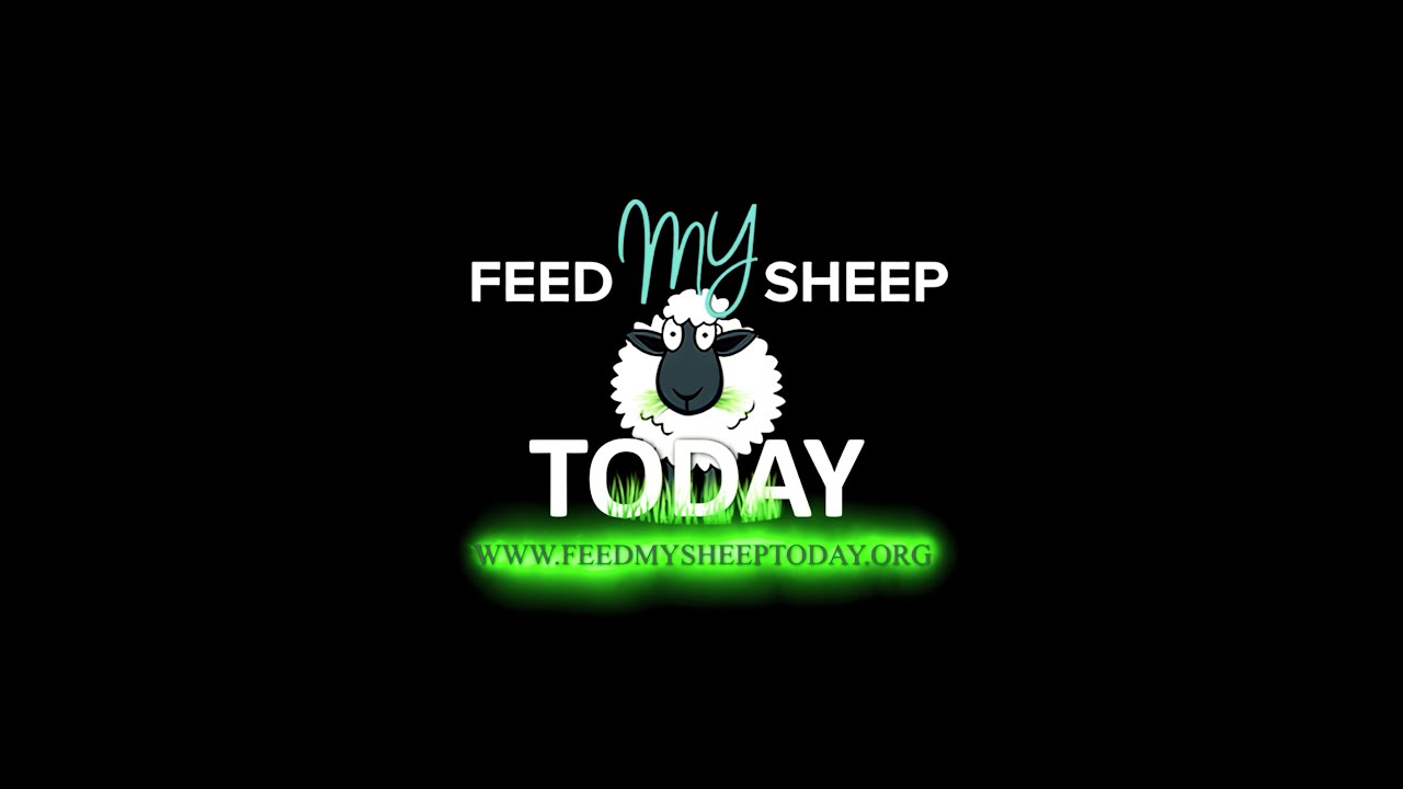 FEED MY SHEEP TODAY HELPING AMERICA JOIN A MOVEMENT DONATE TODAY feed-my-sheep-today-helping-america-join-a-movement-donate-today