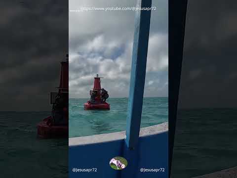 Damos mantenimiento a una boya marina #shorts #mexico #yucatán