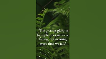 Rising Above: Embracing Resilience and Finding Glory in Every Fall
