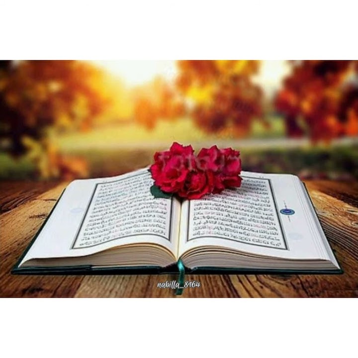 Story' wa  'istikharah cinta'