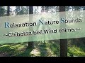 🌿Relaxation Nature Sounds 〜Chibetan bell,Wind chime,〜