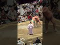 大相撲世紀の大誤審?!琴櫻VS翔猿;2024年9月場所3日目