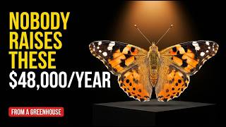 The ½ Acre Stack Nobody Builds — 15 Animals, $10,000Month