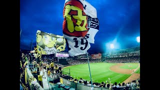 Hanshin Tigers vs Hiroshima Carp 4/30/2024