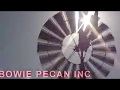 Bowie Pecan Inc trailer (ICQ 6)