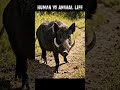 Time Travel to 10 Million Years Ago | The Untold Story of Early Humans #evolution #humanevolution